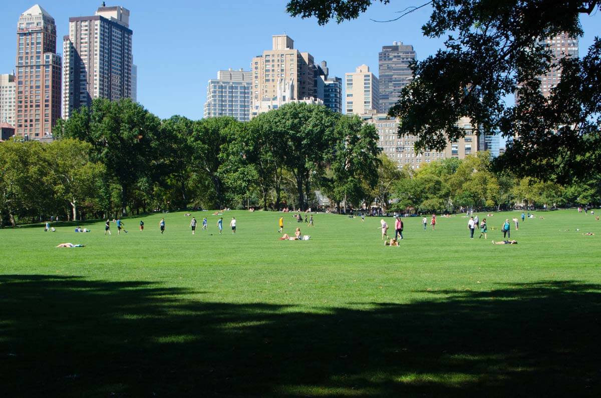 Park image